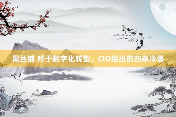 黑丝铺 对于数字化转型，CIO给出的四条冷落