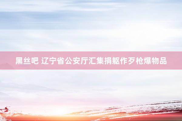 黑丝吧 辽宁省公安厅汇集捐躯作歹枪爆物品
