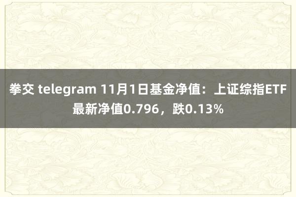 拳交 telegram 11月1日基金净值：上证综指ETF最新净值0.796，跌0.13%