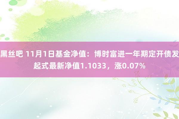 黑丝吧 11月1日基金净值：博时富进一年期定开债发起式最新净值1.1033，涨0.07%