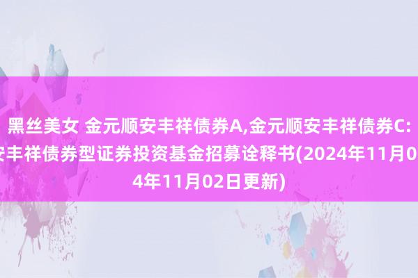 黑丝美女 金元顺安丰祥债券A,金元顺安丰祥债券C: 金元顺安丰祥债券型证券投资基金招募诠释书(2024年11月02日更新)