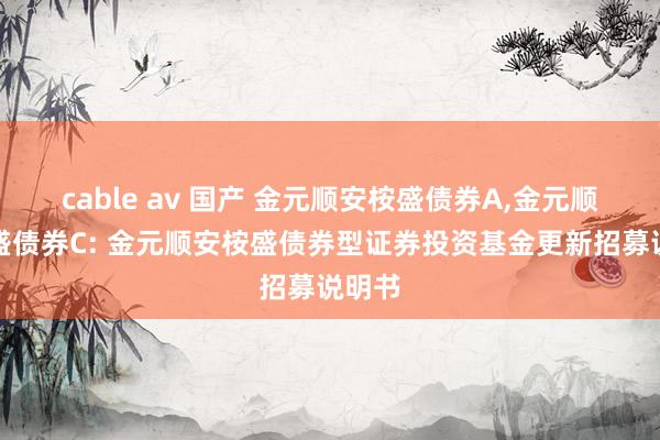 cable av 国产 金元顺安桉盛债券A,金元顺安桉盛债券C: 金元顺安桉盛债券型证券投资基金更新招募说明书