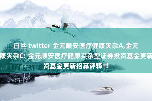 白丝 twitter 金元顺安医疗健康夹杂A,金元顺安医疗健康夹杂C: 金元顺安医疗健康夹杂型证券投资基金更新招募评释书