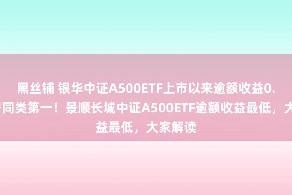 黑丝铺 银华中证A500ETF上市以来逾额收益0.2%位居同类第一！景顺长城中证A500ETF逾额收益最低，大家解读