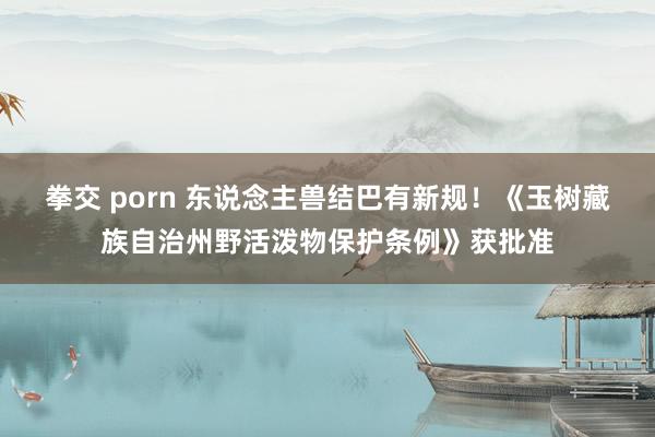 拳交 porn 东说念主兽结巴有新规！《玉树藏族自治州野活泼物保护条例》获批准