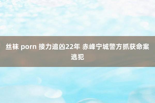 丝袜 porn 接力追凶22年 赤峰宁城警方抓获命案逃犯