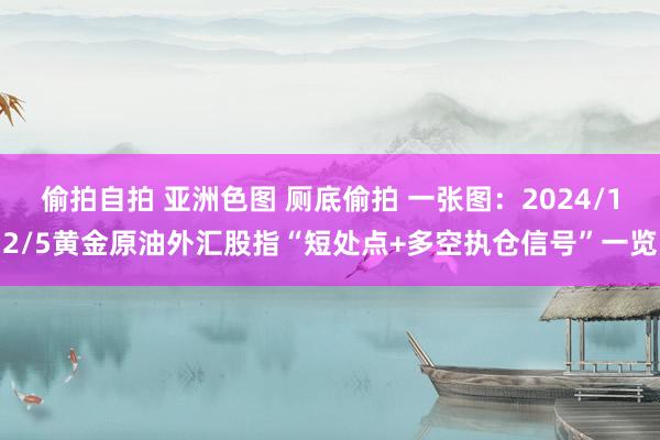 偷拍自拍 亚洲色图 厕底偷拍 一张图：2024/12/5黄金原油外汇股指“短处点+多空执仓信号”一览