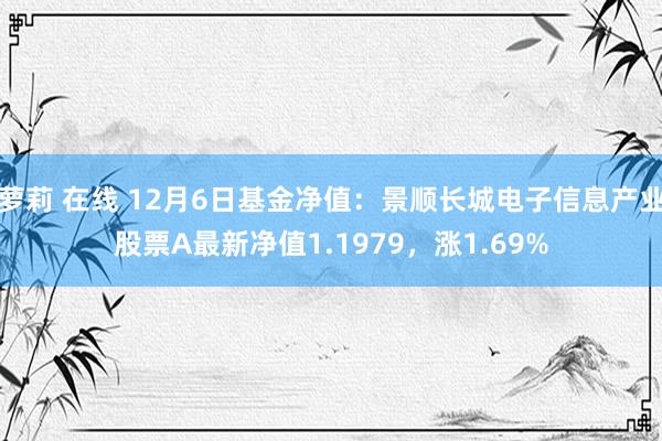 萝莉 在线 12月6日基金净值：景顺长城电子信息产业股票A最新净值1.1979，涨1.69%