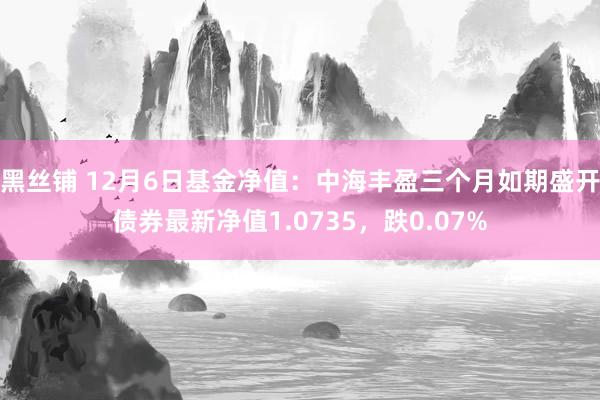 黑丝铺 12月6日基金净值：中海丰盈三个月如期盛开债券最新净值1.0735，跌0.07%