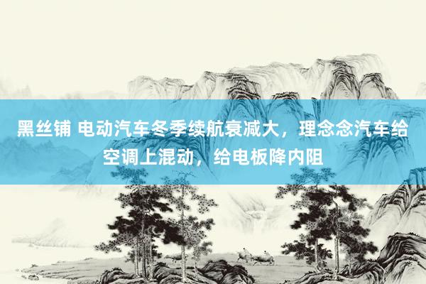 黑丝铺 电动汽车冬季续航衰减大，理念念汽车给空调上混动，给电板降内阻