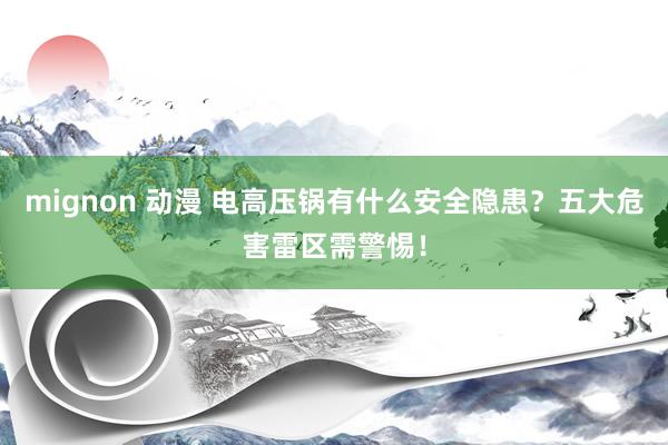 mignon 动漫 电高压锅有什么安全隐患？五大危害雷区需警惕！