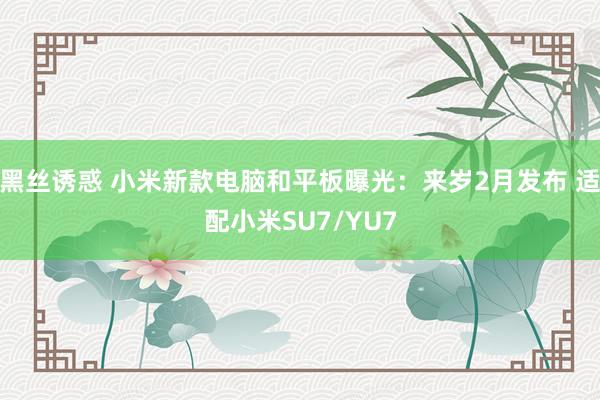 黑丝诱惑 小米新款电脑和平板曝光：来岁2月发布 适配小米SU7/YU7