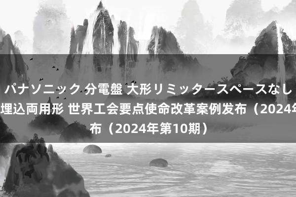 パナソニック 分電盤 大形リミッタースペースなし 露出・半埋込両用形 世界工会要点使命改革案例发布（2024年第10期）
