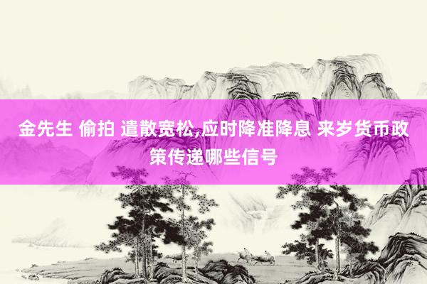 金先生 偷拍 遣散宽松，应时降准降息 来岁货币政策传递哪些信号