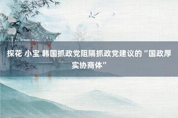 探花 小宝 韩国抓政党阻隔抓政党建议的“国政厚实协商体”