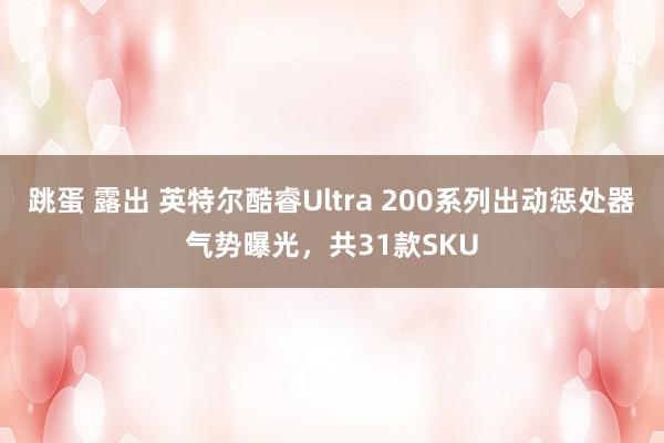 跳蛋 露出 英特尔酷睿Ultra 200系列出动惩处器气势曝光，共31款SKU