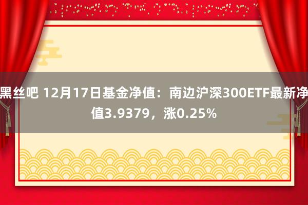 黑丝吧 12月17日基金净值：南边沪深300ETF最新净值3.9379，涨0.25%