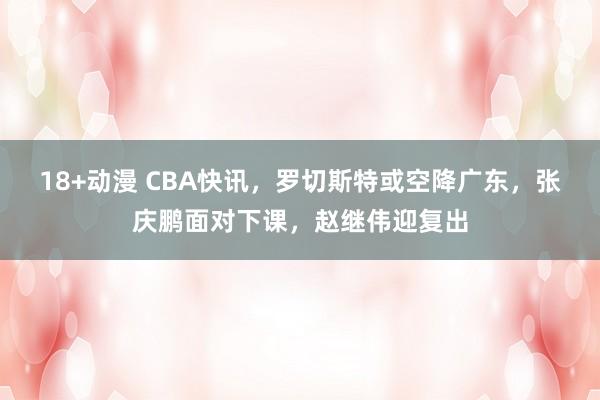 18+动漫 CBA快讯，罗切斯特或空降广东，张庆鹏面对下课，赵继伟迎复出