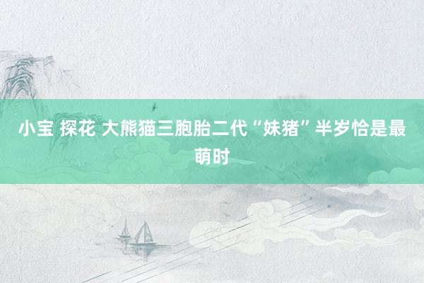 小宝 探花 大熊猫三胞胎二代“妹猪”半岁恰是最萌时