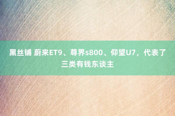 黑丝铺 蔚来ET9、尊界s800、仰望U7，代表了三类有钱东谈主