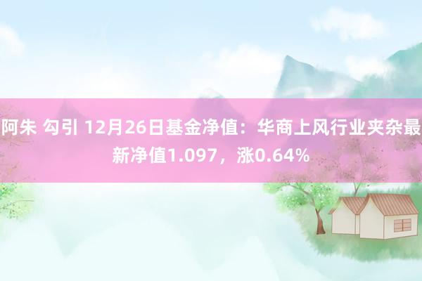 阿朱 勾引 12月26日基金净值：华商上风行业夹杂最新净值1.097，涨0.64%