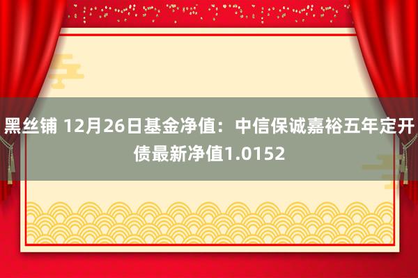 黑丝铺 12月26日基金净值：中信保诚嘉裕五年定开债最新净值1.0152