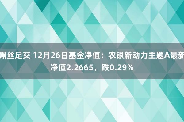 黑丝足交 12月26日基金净值：农银新动力主题A最新净值2.2665，跌0.29%