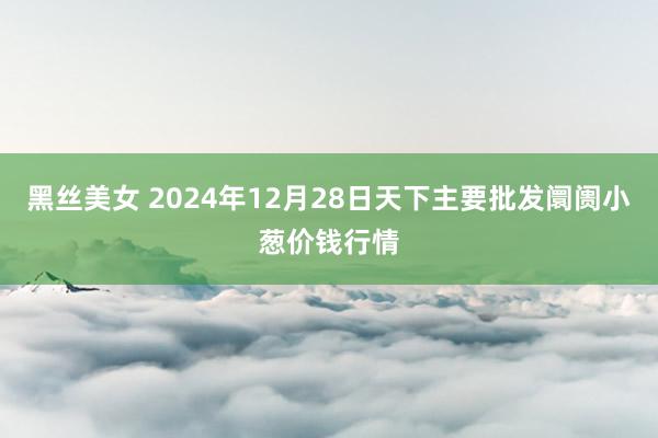 黑丝美女 2024年12月28日天下主要批发阛阓小葱价钱行情