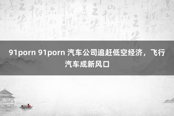 91porn 91porn 汽车公司追赶低空经济，飞行汽车成新风口