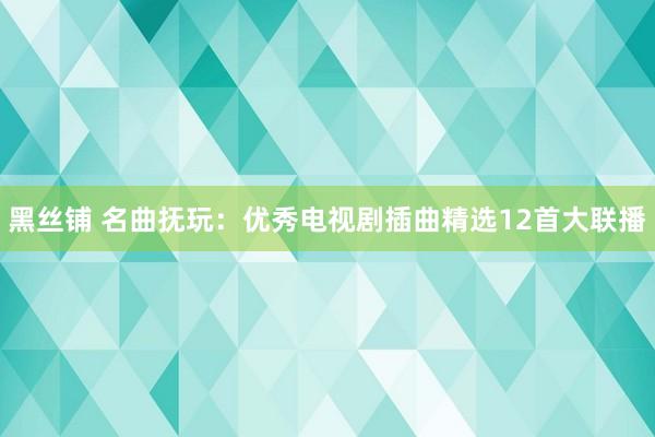 黑丝铺 名曲抚玩：优秀电视剧插曲精选12首大联播