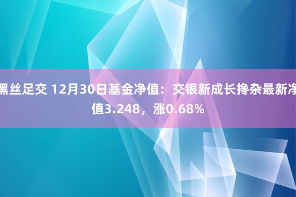 黑丝足交 12月30日基金净值：交银新成长搀杂最新净值3.248，涨0.68%