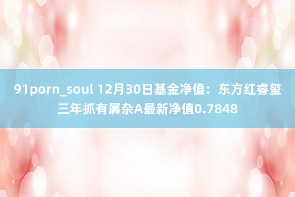 91porn_soul 12月30日基金净值：东方红睿玺三年抓有羼杂A最新净值0.7848