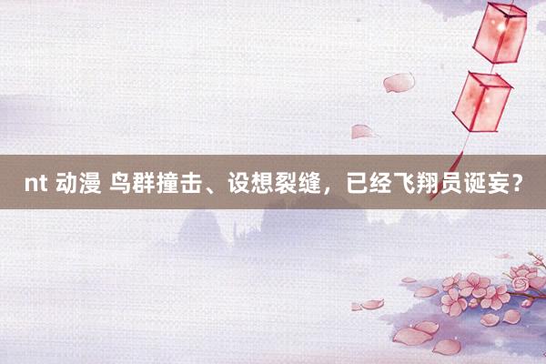 nt 动漫 鸟群撞击、设想裂缝，已经飞翔员诞妄？