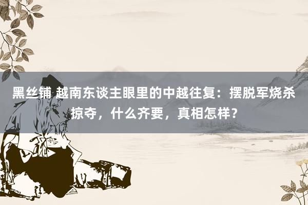 黑丝铺 越南东谈主眼里的中越往复：摆脱军烧杀掠夺，什么齐要，真相怎样？