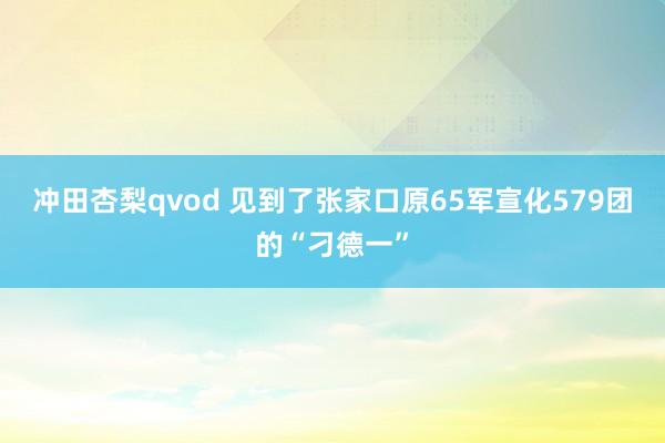 冲田杏梨qvod 见到了张家口原65军宣化579团的“刁德一”