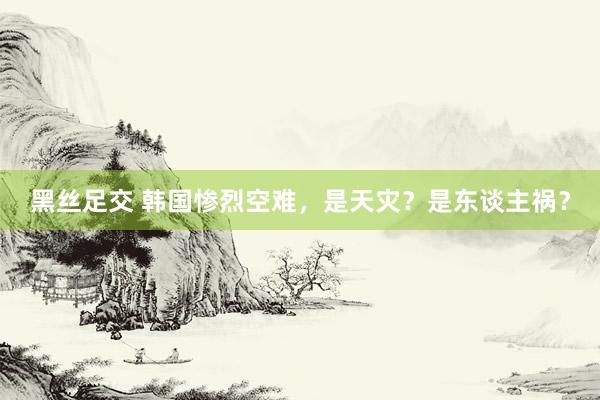 黑丝足交 韩国惨烈空难，是天灾？是东谈主祸？