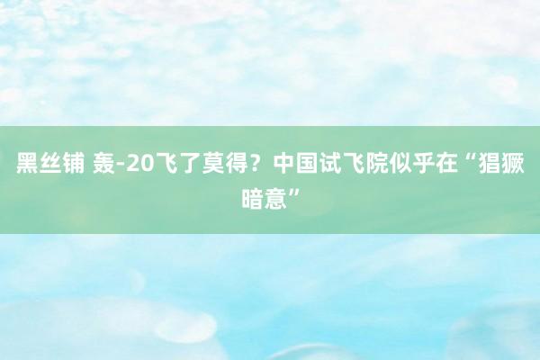 黑丝铺 轰-20飞了莫得？中国试飞院似乎在“猖獗暗意”