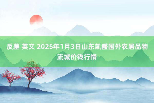反差 英文 2025年1月3日山东凯盛国外农居品物流城价钱行情