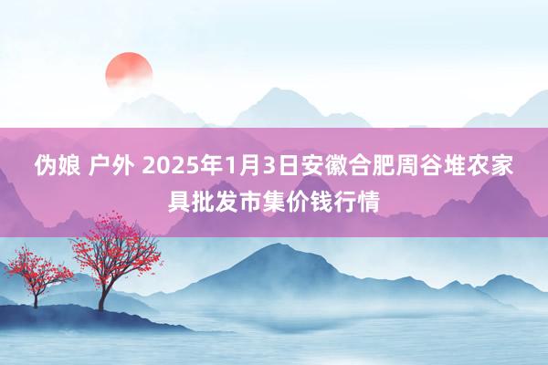 伪娘 户外 2025年1月3日安徽合肥周谷堆农家具批发市集价钱行情