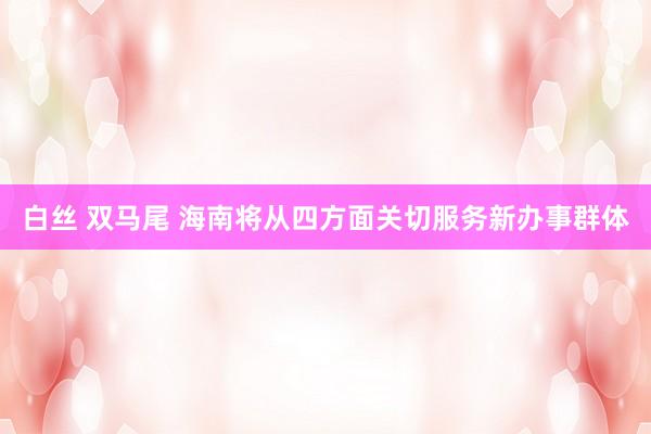 白丝 双马尾 海南将从四方面关切服务新办事群体