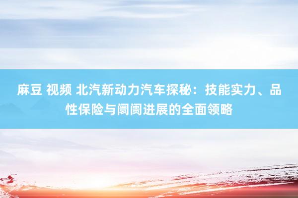 麻豆 视频 北汽新动力汽车探秘：技能实力、品性保险与阛阓进展的全面领略
