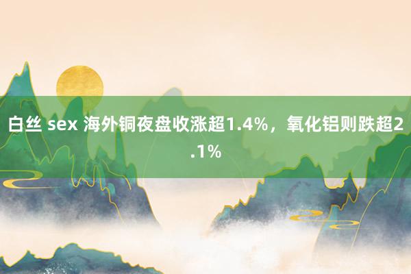 白丝 sex 海外铜夜盘收涨超1.4%，氧化铝则跌超2.1%