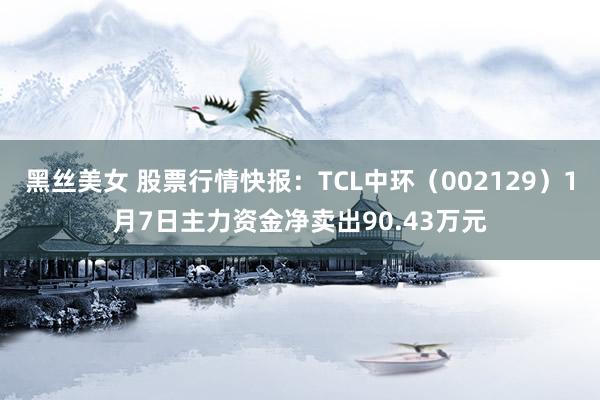 黑丝美女 股票行情快报：TCL中环（002129）1月7日主力资金净卖出90.43万元