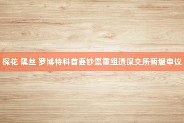探花 黑丝 罗博特科首要钞票重组遭深交所暂缓审议