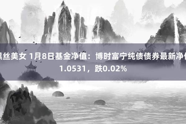 黑丝美女 1月8日基金净值：博时富宁纯债债券最新净值1.0531，跌0.02%
