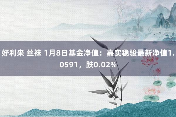 好利来 丝袜 1月8日基金净值：嘉实稳骏最新净值1.0591，跌0.02%