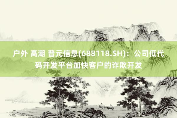 户外 高潮 普元信息(688118.SH)：公司低代码开发平台加快客户的诈欺开发