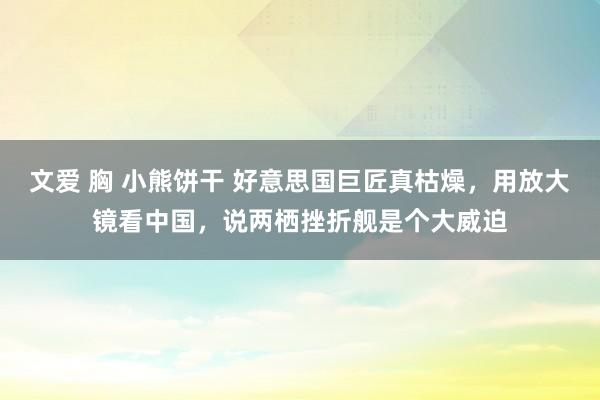 文爱 胸 小熊饼干 好意思国巨匠真枯燥，用放大镜看中国，说两栖挫折舰是个大威迫