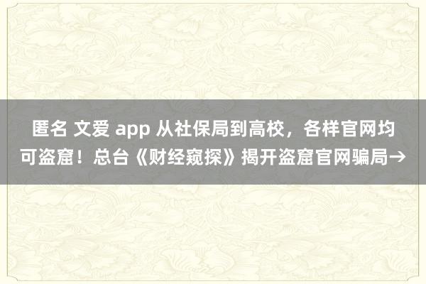匿名 文爱 app 从社保局到高校，各样官网均可盗窟！总台《财经窥探》揭开盗窟官网骗局→