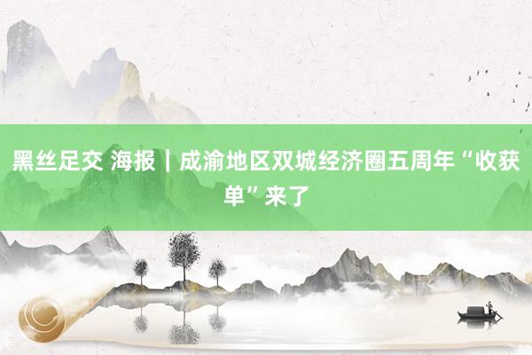 黑丝足交 海报｜成渝地区双城经济圈五周年“收获单”来了